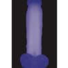 Evolved Luminous Dildo Non Vibrating - Purple - Image 3