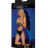 Black Label Lace Panels Harness & Panty Black O-s - Image 3