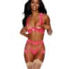 Lace Underwire Peek A Boo Bra, Garterbelt & G-string Coral Xxl